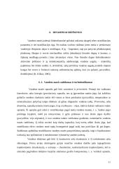 Rėkyvos ežeras 11 puslapis
