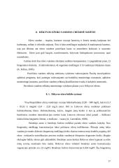 Rėkyvos ežeras 17 puslapis