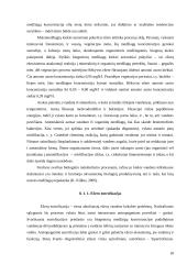 Rėkyvos ežeras 18 puslapis