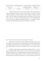 Rėkyvos ežeras 20 puslapis