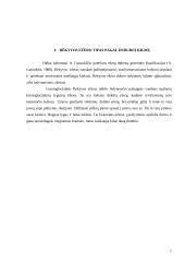 Rėkyvos ežeras 7 puslapis