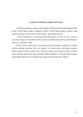 Rėkyvos ežeras 8 puslapis