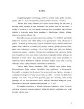 Rekreacija renesanso laikotarpiu 2 puslapis