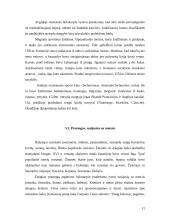 Rekreacija renesanso laikotarpiu 12 puslapis