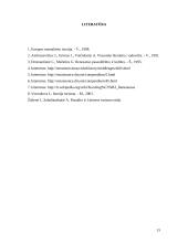 Rekreacija renesanso laikotarpiu 15 puslapis