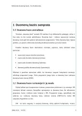 Reliacinės duomenų bazės 3 puslapis