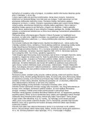 Renesanso epocha Europoje 3 puslapis