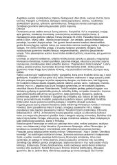 Renesanso epocha Europoje 4 puslapis