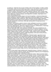 Renesanso epocha Europoje 5 puslapis