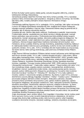 Renesanso epocha Europoje 6 puslapis