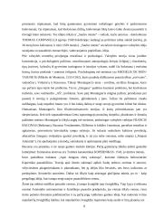 Renesanso filosofija 8 puslapis