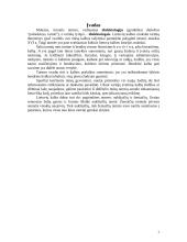 Rytų aukštaičių tarmės 2 puslapis