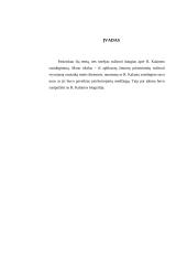 Romo Kalantos susideginimas 3 puslapis