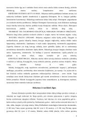 Rūkymas bei jo neigiamas poveikis sveikatai 7 puslapis