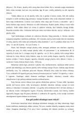 Rūkymas bei jo neigiamas poveikis sveikatai 8 puslapis