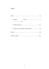 Rūkymas bei jo daroma žala sveikatai 2 puslapis