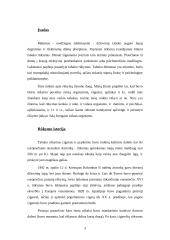 Rūkymas bei jo daroma žala sveikatai 3 puslapis