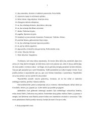 Senovės runos 11 puslapis