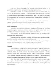 Senovės runos 12 puslapis