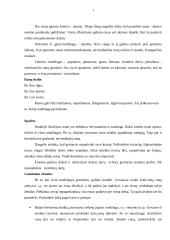 Senovės runos 13 puslapis