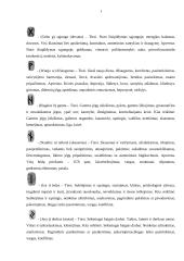 Senovės runos 17 puslapis