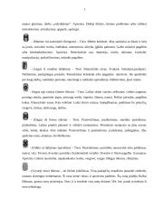 Senovės runos 19 puslapis