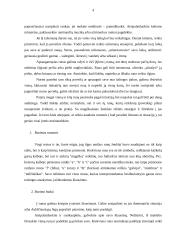 Senovės runos 4 puslapis