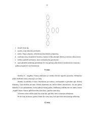 Senovės runos 8 puslapis