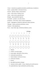 Senovės runos 10 puslapis