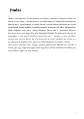 Salmoneliozės liga 2 puslapis