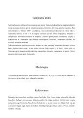 Salmoneliozės liga 3 puslapis