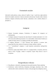 Salmoneliozės liga 4 puslapis