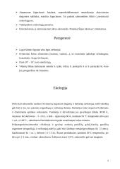 Salmoneliozės liga 5 puslapis