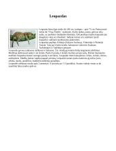 Savanų gyvūnija 5 puslapis