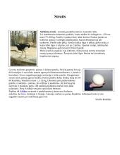 Savanų gyvūnija 8 puslapis