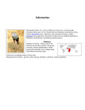 Savanų gyvūnija 10 puslapis