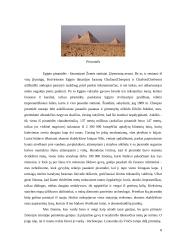 Senovės Egipto architektūra, religija bei kapavietės 8 puslapis