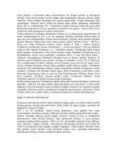 Senovės Egipto civilizacija 11 puslapis