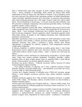 Senovės Egipto civilizacija 13 puslapis