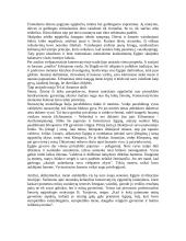 Senovės Egipto civilizacija 14 puslapis