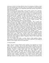 Senovės Egipto civilizacija 3 puslapis