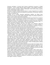 Senovės Egipto civilizacija 8 puslapis