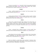 Senovės Egipto dievai 5 puslapis