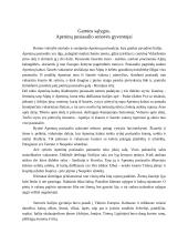 Senovės Romos valstybė 2 puslapis