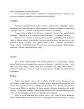 Senovės Romos valstybė 12 puslapis