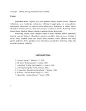 Senovės Romos valstybė 13 puslapis