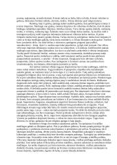 Senovės Romos gyventojų apranga 2 puslapis