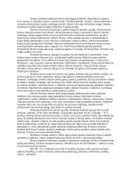 Senovės Romos gyventojų apranga 3 puslapis