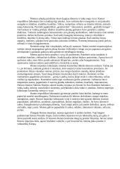 Senovės Romos gyventojų apranga 4 puslapis