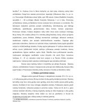 Senovės Romos kultūra 5 puslapis